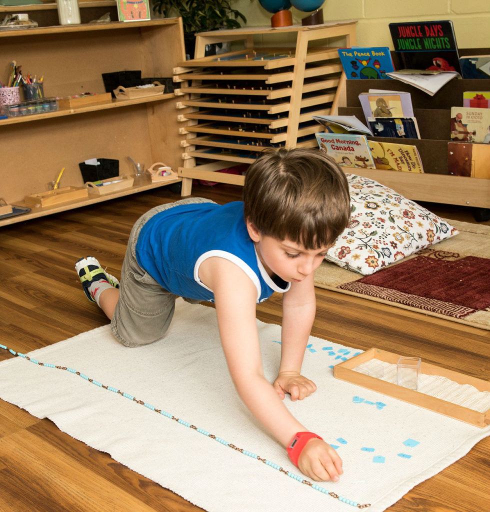 Montessori Mantra
